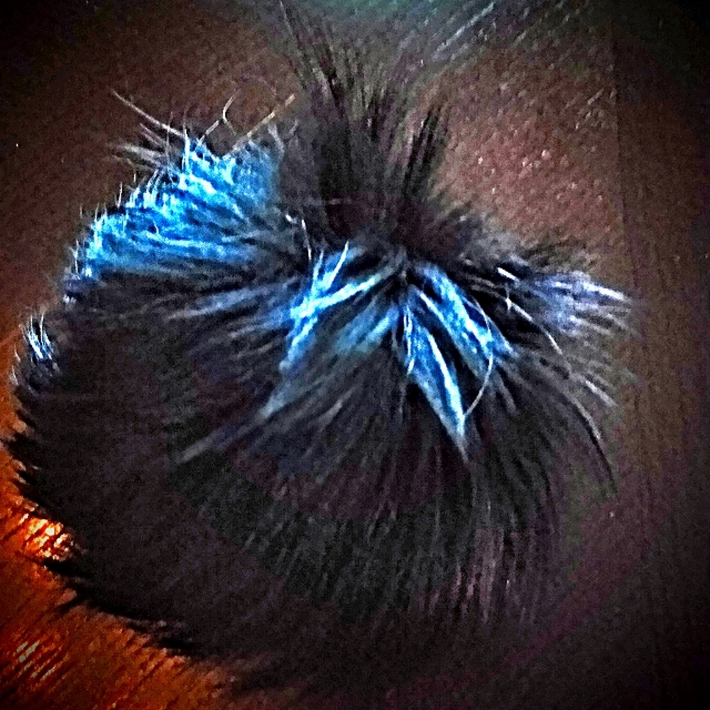 Black Licorice pom pom